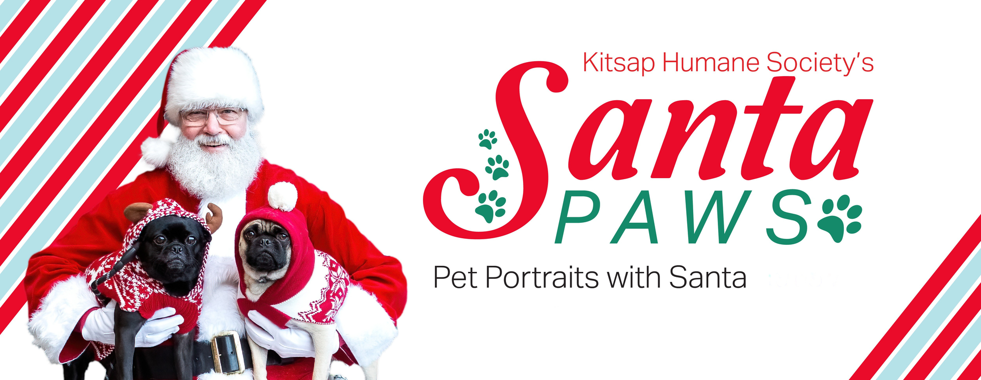 Santa Paws